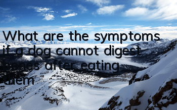 What are the symptoms if a dog cannot digest bones after eating them?