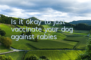 TIs it okay to just vaccinate your dog against rabies?