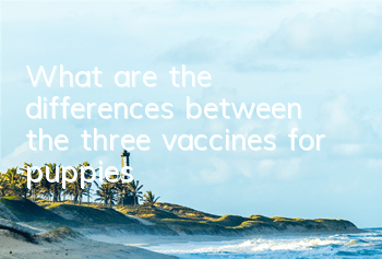 TWhat are the differences between the three vaccines for puppies?