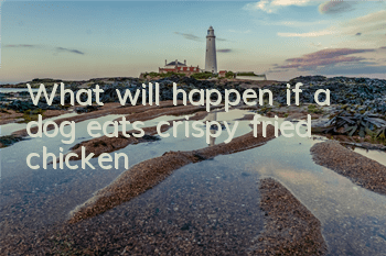 TWhat will happen if a dog eats crispy fried chicken?