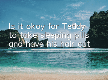 Is it okay for Teddy to take sleeping pills and have his hair cut?
