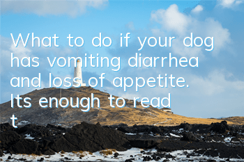 What to do if your dog has vomiting, diarrhea and loss of appetite. It’s enough to read this article!