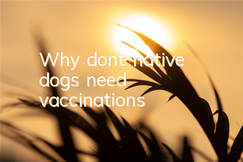 Why don’t native dogs need vaccinations?