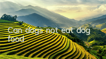Can dogs not eat dog food?