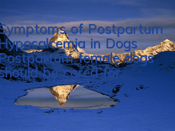 Symptoms of Postpartum Hypocalcemia in Dogs Postpartum female dogs should be cared for carefully!