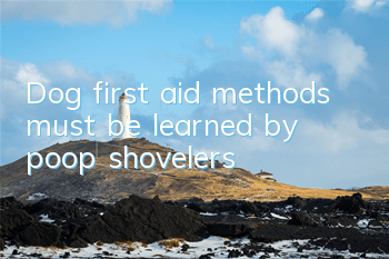 TDog first aid methods must be learned by poop shovelers!