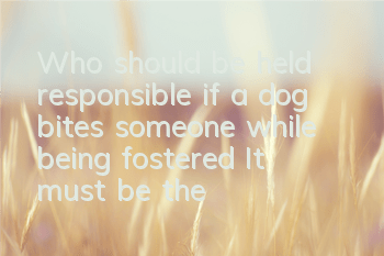 Who should be held responsible if a dog bites someone while being fostered? It must be the owner who is responsible!