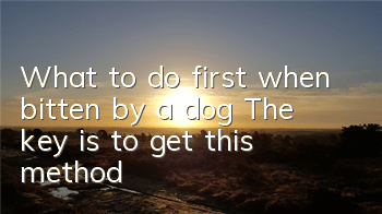 What to do first when bitten by a dog? The key is to get this method!