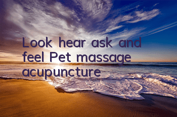 Look, hear, ask and feel Pet massage & acupuncture