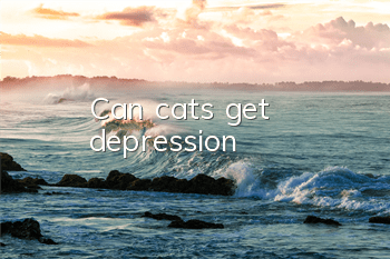 TCan cats get depression?