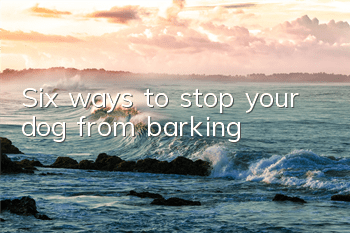 TSix ways to stop your dog from barking
