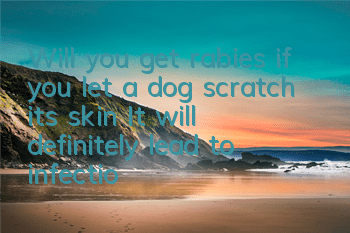 Will you get rabies if you let a dog scratch its skin? It will definitely lead to infection. Timely treatment is very important.