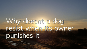 Why doesn’t a dog resist when its owner punishes it?