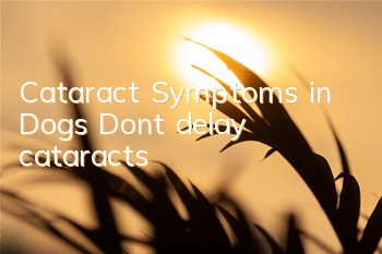 TCataract Symptoms in Dogs Don’t delay cataracts!