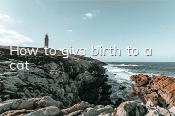 How to give birth to a cat