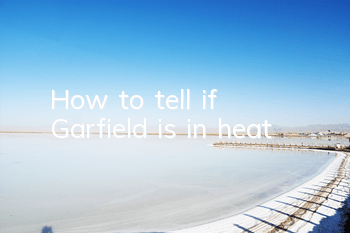 THow to tell if Garfield is in heat