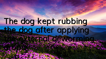 The dog kept rubbing the dog after applying the external deworming drops