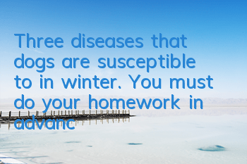 TThree diseases that dogs are susceptible to in winter. You must do your homework in advance!