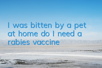 TI was bitten by a pet at home, do I need a rabies vaccine?
