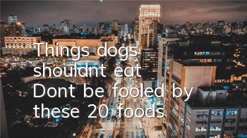 TThings dogs shouldn’t eat: Don’t be fooled by these 20 foods!