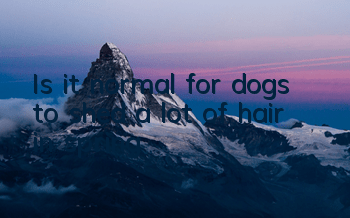 Is it normal for dogs to shed a lot of hair in spring?