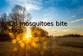 Do mosquitoes bite dogs?