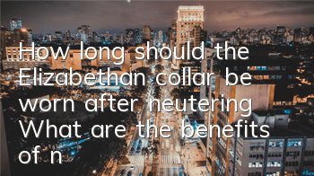 How long should the Elizabethan collar be worn after neutering? What are the benefits of neutering a dog?