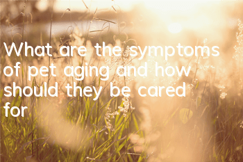 TWhat are the symptoms of pet aging and how should they be cared for?