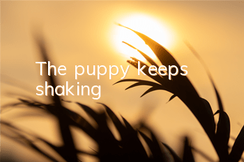 The puppy keeps shaking