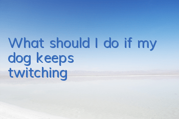 What should I do if my dog ​​keeps twitching?