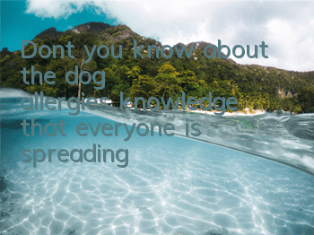 Don’t you know about the “dog allergies” knowledge that everyone is spreading?
