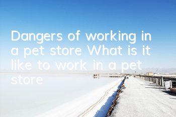 Dangers of working in a pet store What is it like to work in a pet store?