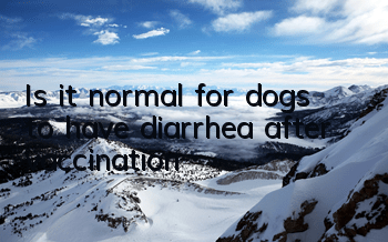 Is it normal for dogs to have diarrhea after vaccination?