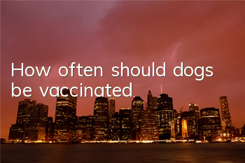 THow often should dogs be vaccinated?