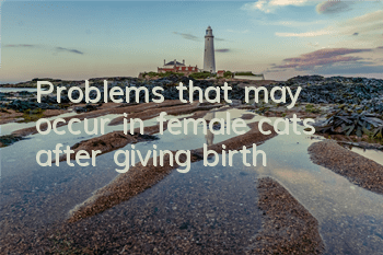 Problems that may occur in female cats after giving birth