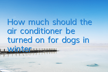 How much should the air conditioner be turned on for dogs in winter?