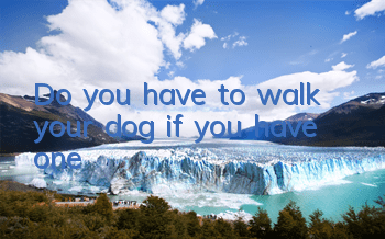 Do you have to walk your dog if you have one?