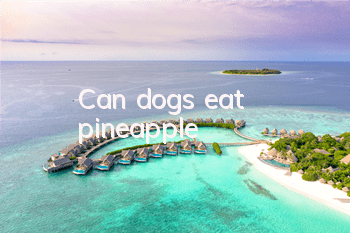 TCan dogs eat pineapple?