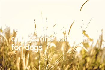 TSimple dog food recipes, there is always one suitable for dogs!