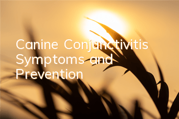 TCanine Conjunctivitis Symptoms and Prevention