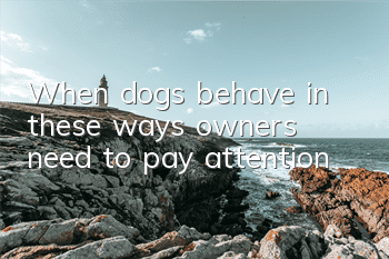 When dogs behave in these ways, owners need to pay attention!