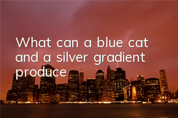 TWhat can a blue cat and a silver gradient produce?