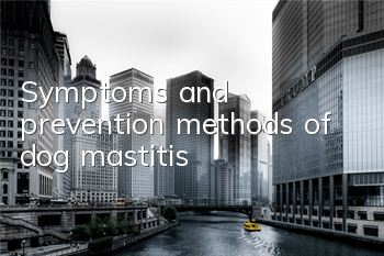 TSymptoms and prevention methods of dog mastitis