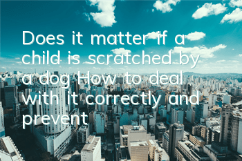 Does it matter if a child is scratched by a dog? How to deal with it correctly and prevent it?