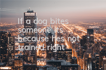 TIf a dog bites someone, it’s because he’s not trained, right?