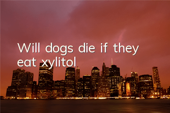 Will dogs die if they eat xylitol?
