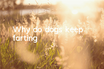 Why do dogs keep farting?