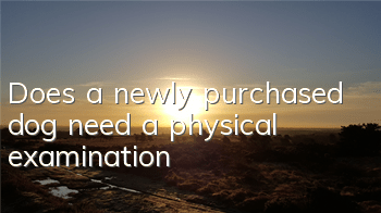 Does a newly purchased dog need a physical examination?