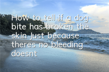 THow to tell if a dog bite has broken the skin? Just because there’s no bleeding doesn’t mean the skin hasn’t been broken!