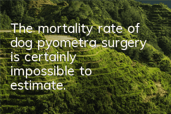 The mortality rate of dog pyometra surgery is certainly impossible to estimate.